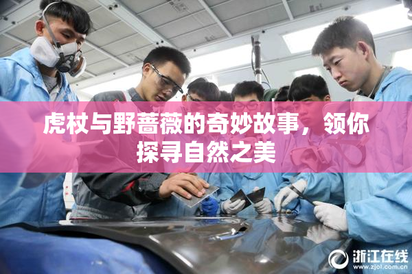 虎杖与野蔷薇的奇妙故事，领你探寻自然之美