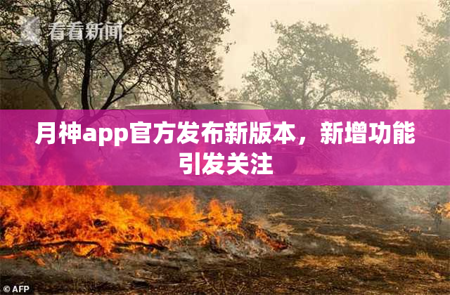 月神app官方发布新版本，新增功能引发关注