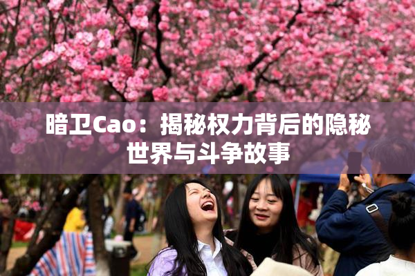 暗卫Cao：揭秘权力背后的隐秘世界与斗争故事