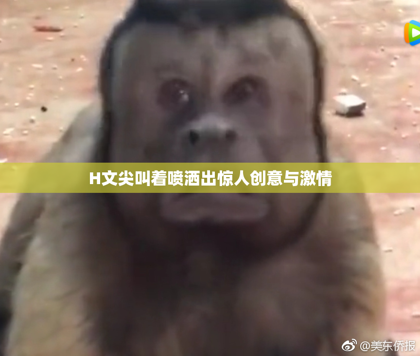 H文尖叫着喷洒出惊人创意与激情