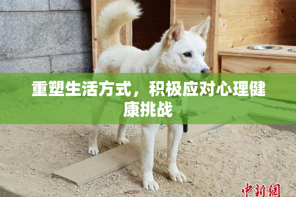 重塑生活方式，积极应对心理健康挑战