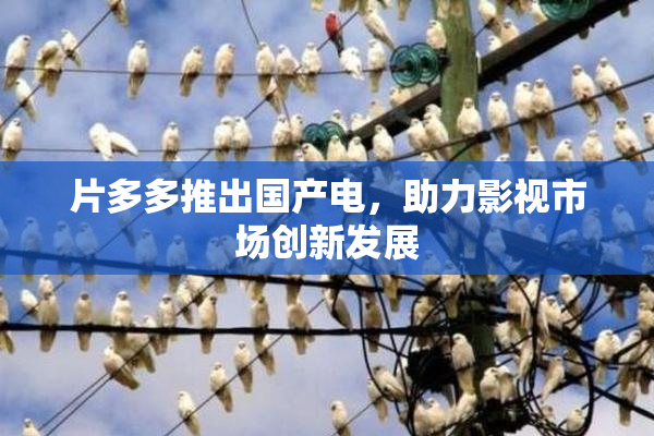 片多多推出国产电，助力影视市场创新发展