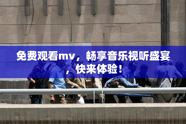 免费观看mv，畅享音乐视听盛宴，快来体验！