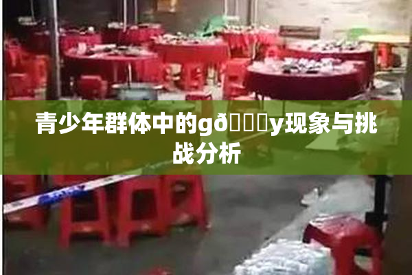青少年群体中的g🈚y现象与挑战分析