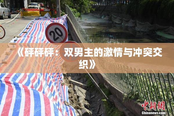 《砰砰砰：双男主的激情与冲突交织》
