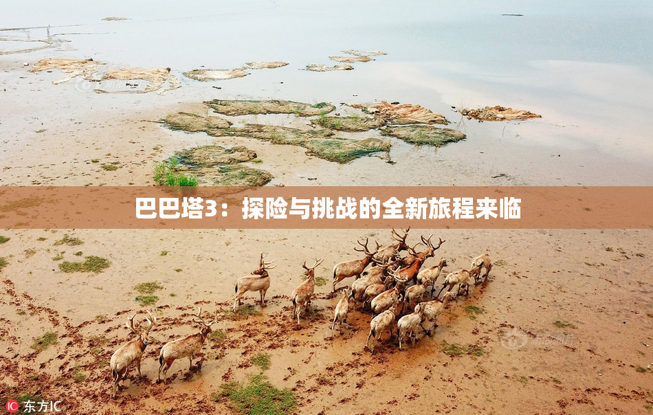 巴巴塔3：探险与挑战的全新旅程来临