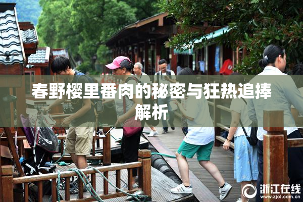 春野樱里番肉的秘密与狂热追捧解析