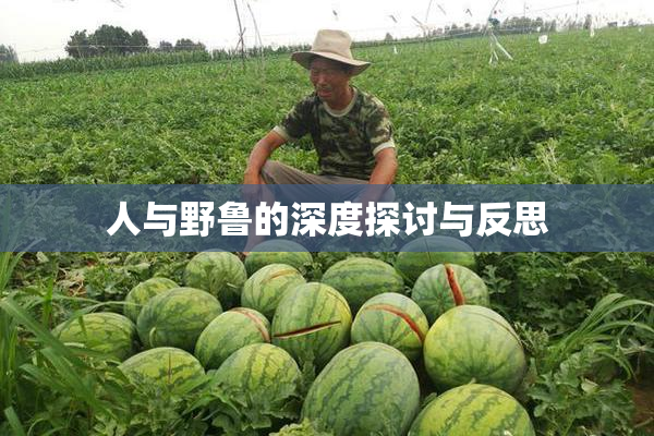 人与野鲁的深度探讨与反思