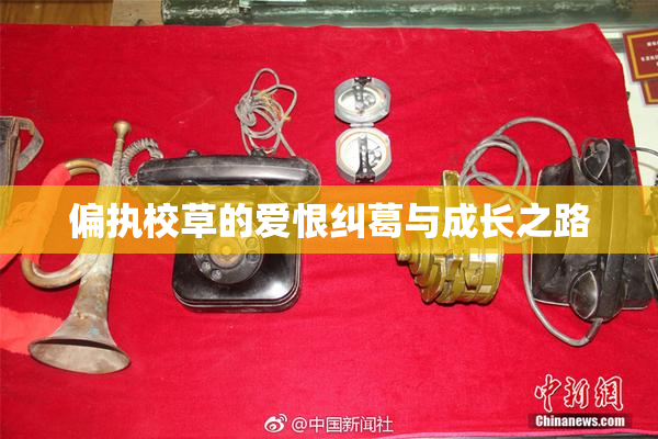 偏执校草的爱恨纠葛与成长之路