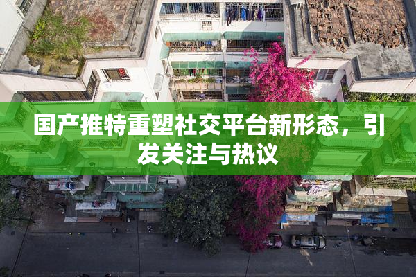 国产推特重塑社交平台新形态，引发关注与热议