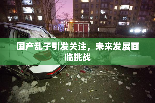 国产乱子引发关注，未来发展面临挑战