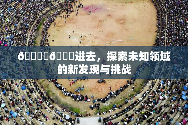 🔞‌🍌进去，探索未知领域的新发现与挑战