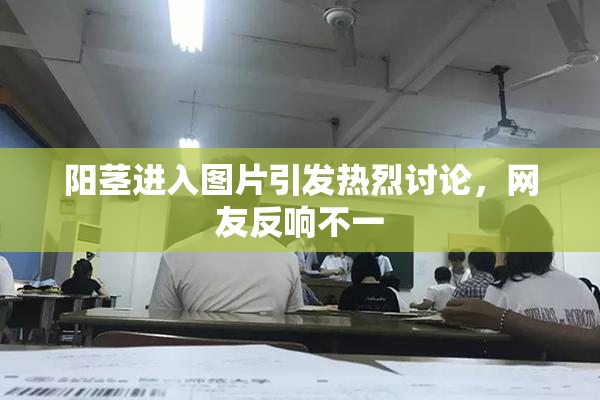 阳茎进入图片引发热烈讨论，网友反响不一