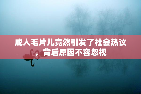 成人毛片儿竟然引发了社会热议，背后原因不容忽视