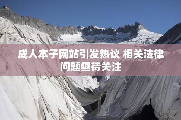 成人本子网站引发热议 相关法律问题亟待关注