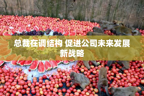 总裁在调结构 促进公司未来发展新战略