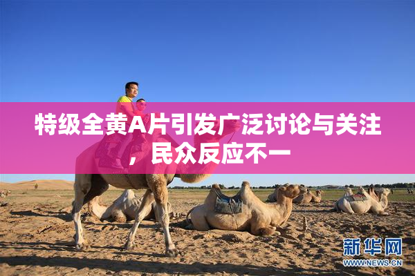 特级全黄A片引发广泛讨论与关注，民众反应不一