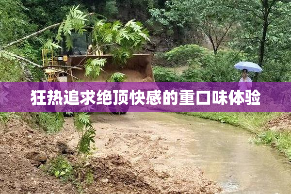 狂热追求绝顶快感的重口味体验