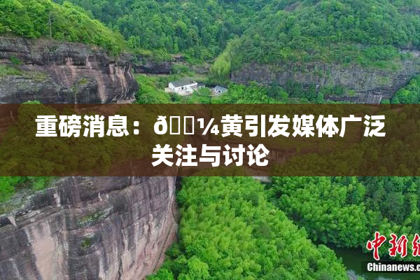 重磅消息：🌼黄引发媒体广泛关注与讨论