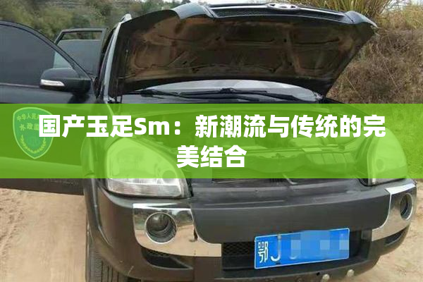 国产玉足Sm：新潮流与传统的完美结合