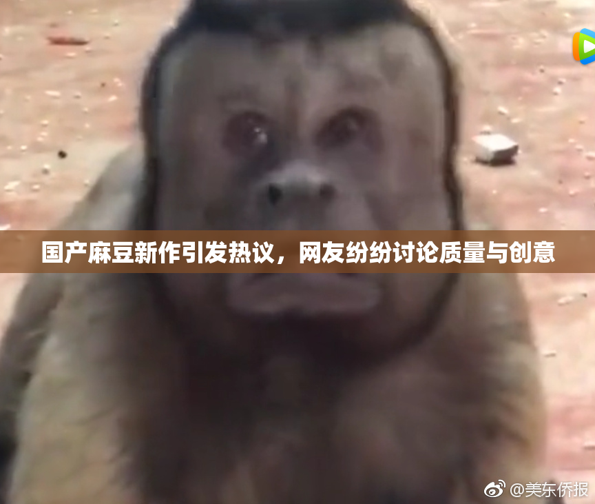 国产麻豆新作引发热议，网友纷纷讨论质量与创意