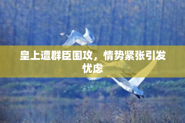 皇上遭群臣围攻，情势紧张引发忧虑