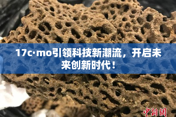 17c·mo引领科技新潮流，开启未来创新时代！