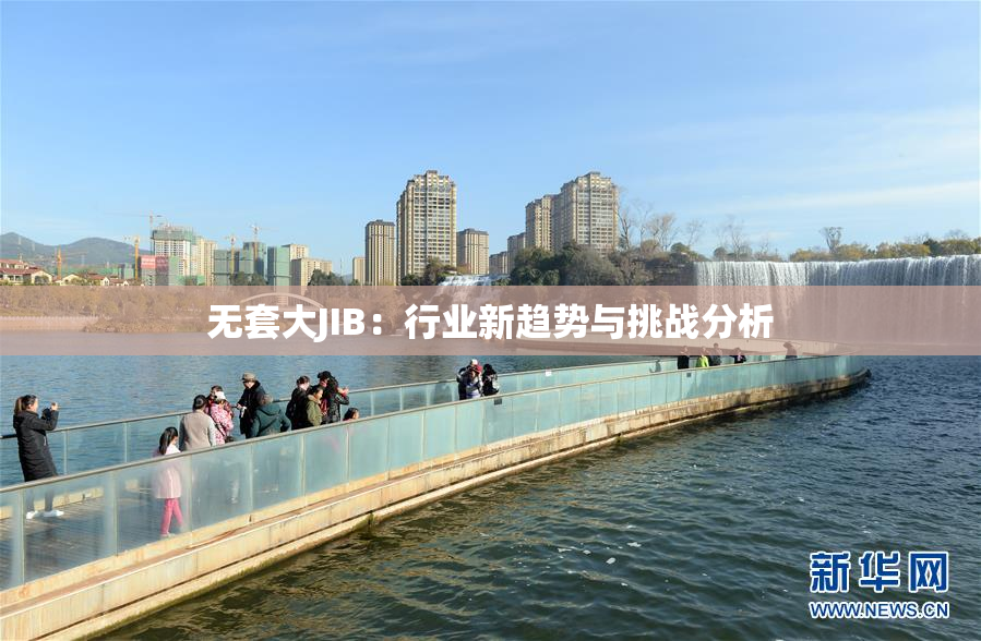 无套大JIB：行业新趋势与挑战分析