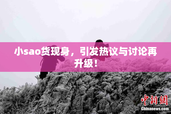 小sao货现身，引发热议与讨论再升级！