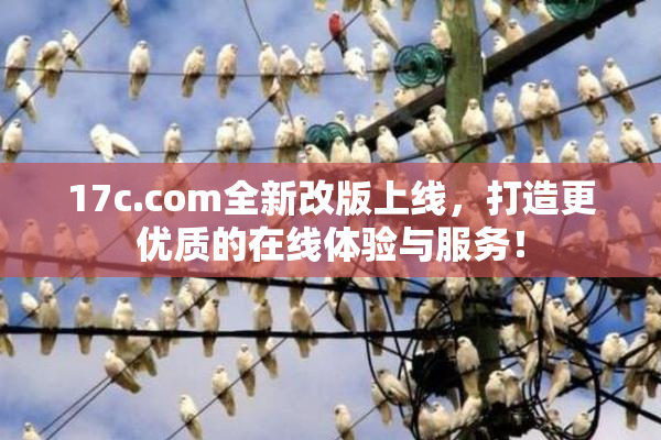17c.com全新改版上线，打造更优质的在线体验与服务！