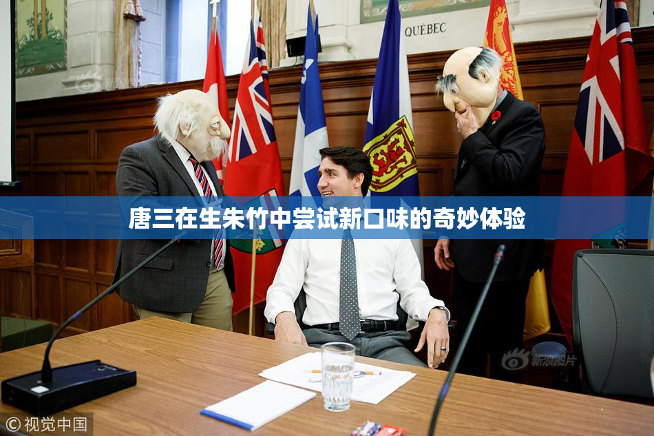 唐三在生朱竹中尝试新口味的奇妙体验
