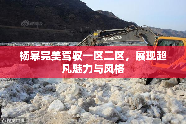 杨幂完美驾驭一区二区，展现超凡魅力与风格