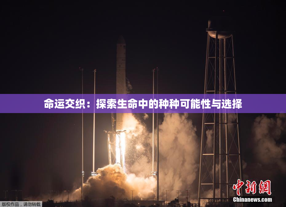 命运交织：探索生命中的种种可能性与选择