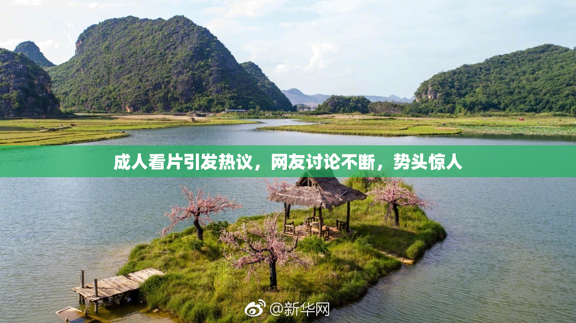 成人看片引发热议，网友讨论不断，势头惊人