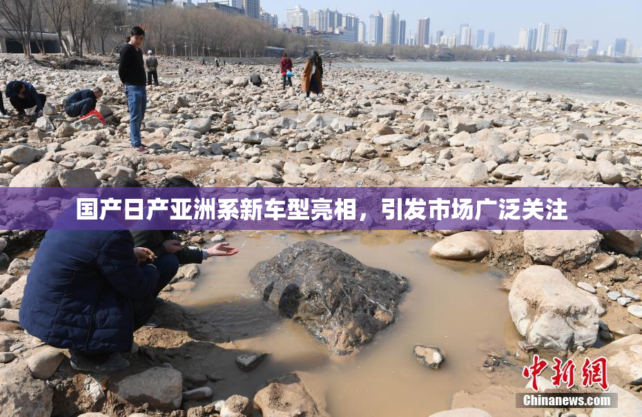国产日产亚洲系新车型亮相，引发市场广泛关注