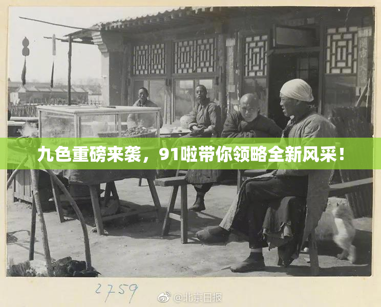 九色重磅来袭，91啦带你领略全新风采！