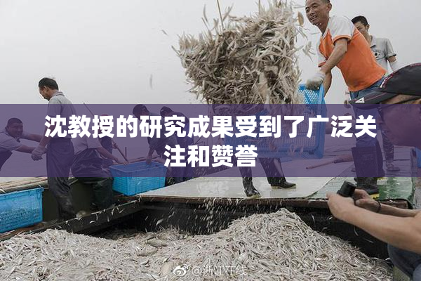 沈教授的研究成果受到了广泛关注和赞誉