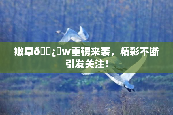 嫩草🌿‌w重磅来袭，精彩不断引发关注！