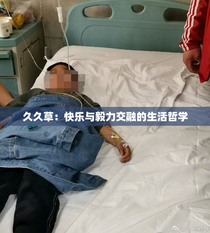 久久草：快乐与毅力交融的生活哲学