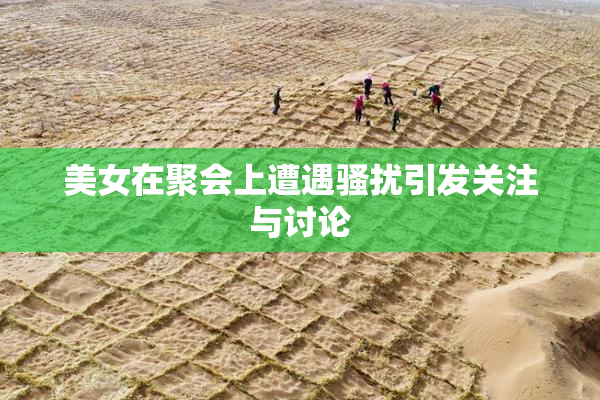 美女在聚会上遭遇骚扰引发关注与讨论