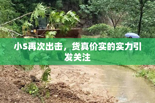 小S再次出击，货真价实的实力引发关注