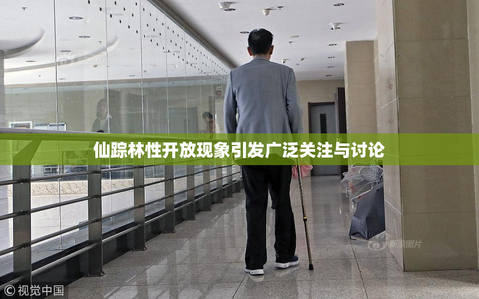仙踪林性开放现象引发广泛关注与讨论