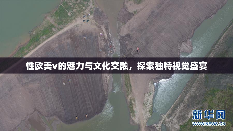 性欧美v的魅力与文化交融，探索独特视觉盛宴