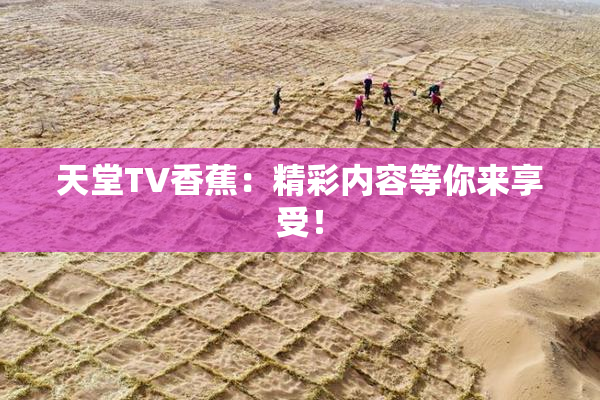 天堂TV香蕉：精彩内容等你来享受！