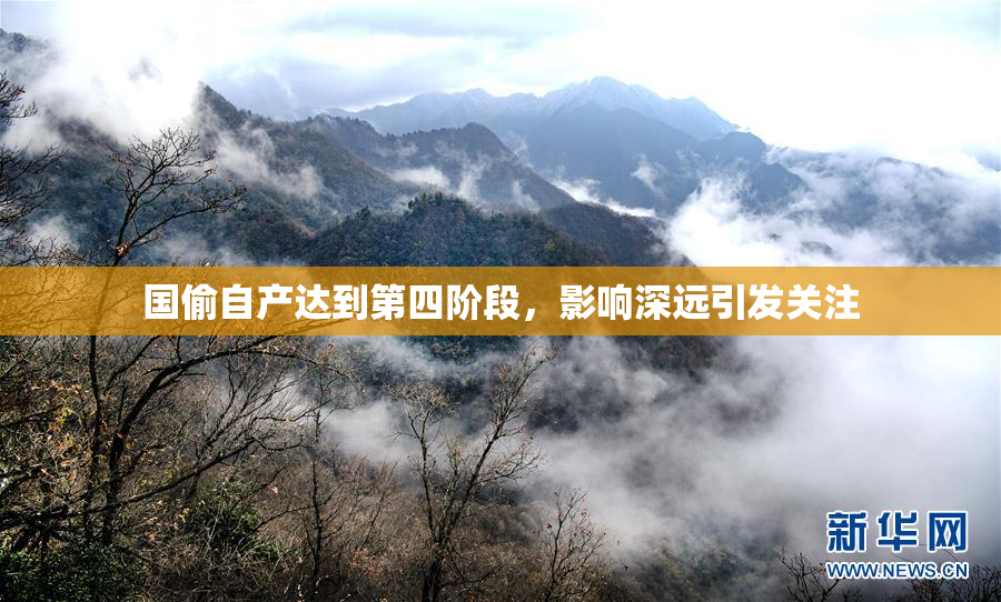 国偷自产达到第四阶段，影响深远引发关注