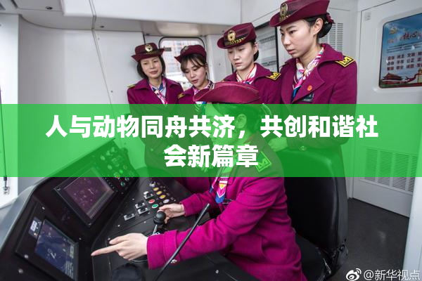 人与动物同舟共济，共创和谐社会新篇章