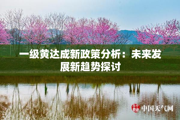 一级黄达成新政策分析：未来发展新趋势探讨