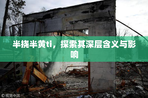 半挠半黄ti，探索其深层含义与影响