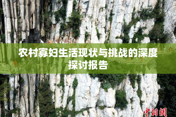 农村寡妇生活现状与挑战的深度探讨报告