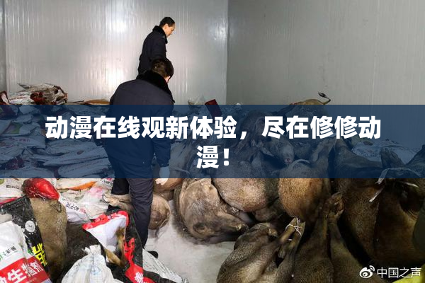 动漫在线观新体验，尽在修修动漫！